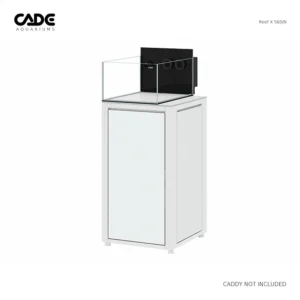Cade Reef X 560/N