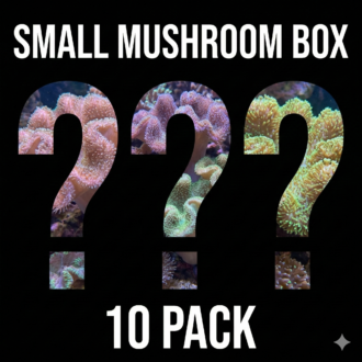 חבילת פטריות Mushroom Pack (חבילה קטנה 10 יחידות)