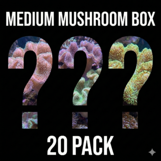 חבילת פטריות Mushroom Pack (חבילה בינונית 20 יחידות)