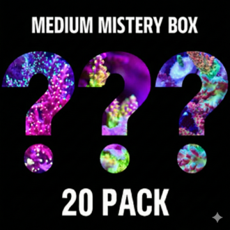 אלמוגי זואנטיד Zoa Pack (חבילה קטנה 20 יחידות)
