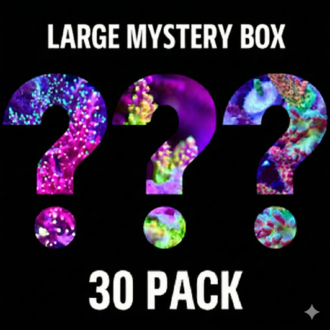 אלמוגי זואנטיד Zoa Pack (חבילה קטנה 30 יחידות)