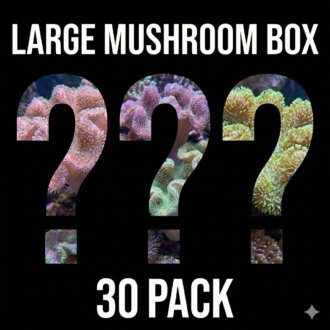 חבילת פטריות Mushroom Pack (חבילה גדולה 30 יחידות)