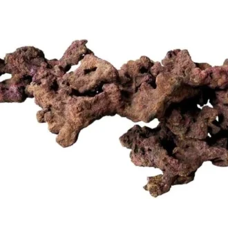 מסלעה מושלמת Hanging Reef מסדרת סלעי ריף TMC