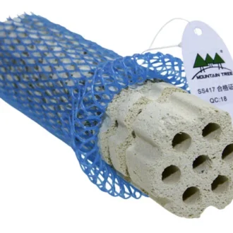 Lotus Root Bacteria House III